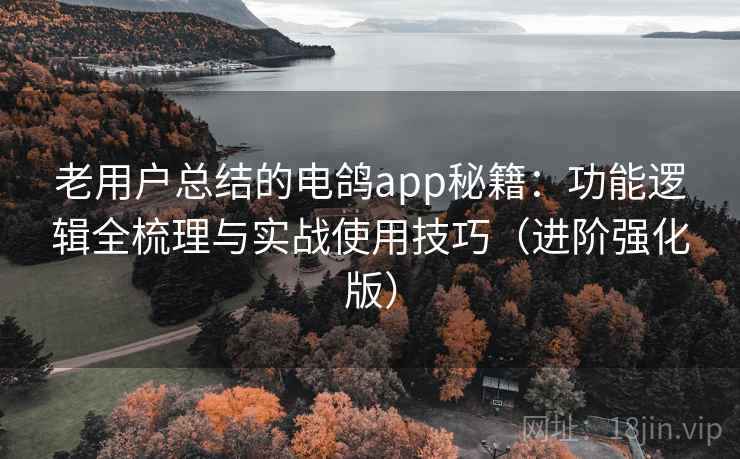 老用户总结的电鸽app秘籍：功能逻辑全梳理与实战使用技巧（进阶强化版）  第1张