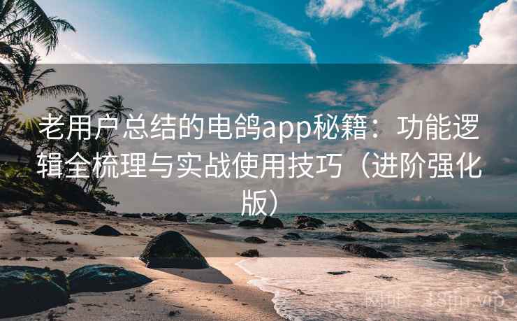 老用户总结的电鸽app秘籍：功能逻辑全梳理与实战使用技巧（进阶强化版）  第2张