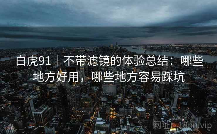 白虎91｜不带滤镜的体验总结：哪些地方好用，哪些地方容易踩坑  第1张