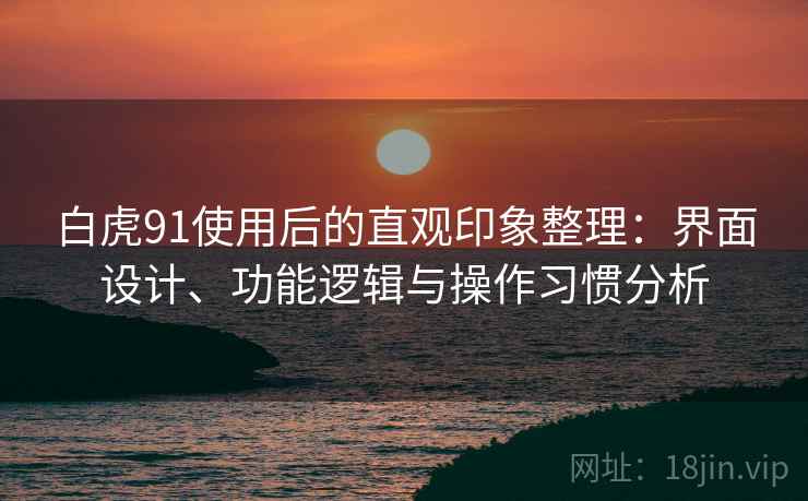 白虎91使用后的直观印象整理：界面设计、功能逻辑与操作习惯分析  第1张