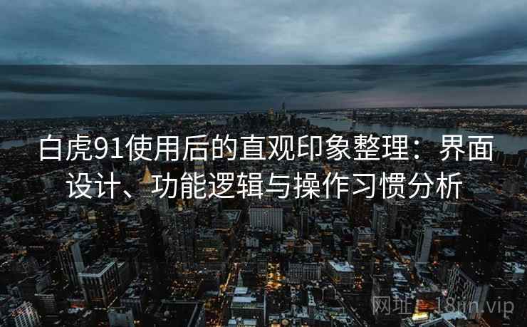 白虎91使用后的直观印象整理：界面设计、功能逻辑与操作习惯分析  第2张