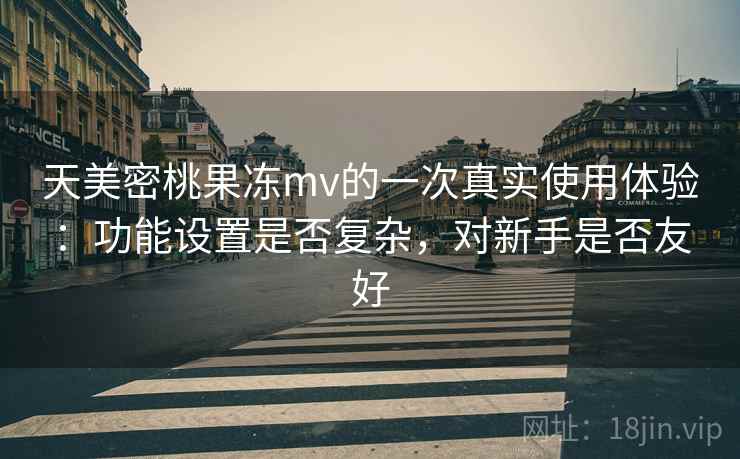 天美密桃果冻mv的一次真实使用体验：功能设置是否复杂，对新手是否友好  第2张