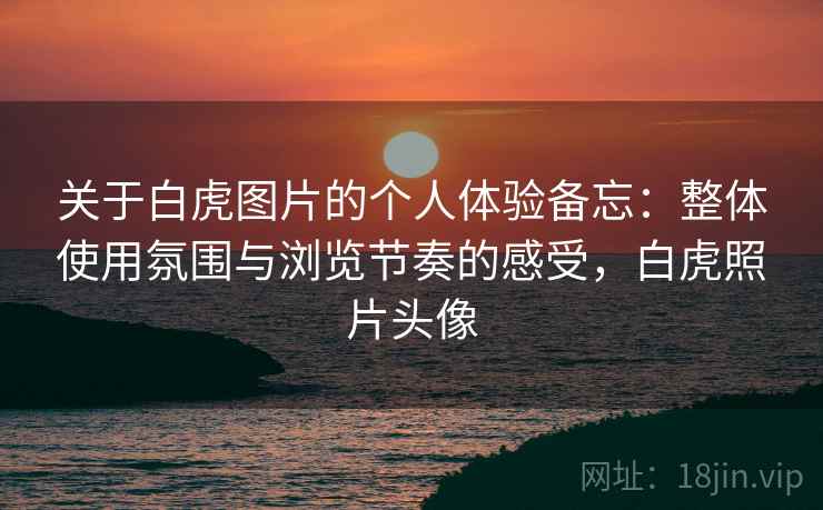 关于白虎图片的个人体验备忘：整体使用氛围与浏览节奏的感受，白虎照片头像  第2张