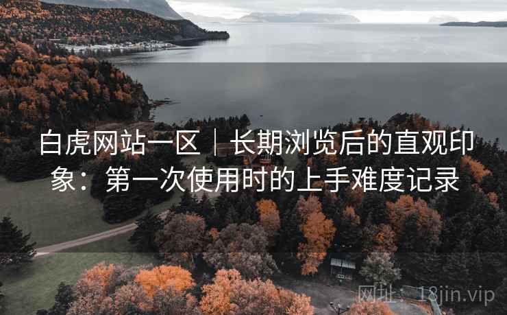 白虎网站一区｜长期浏览后的直观印象：第一次使用时的上手难度记录  第2张