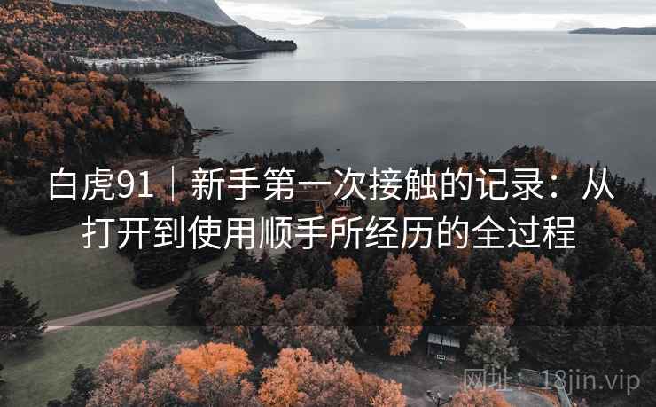 白虎91｜新手第一次接触的记录：从打开到使用顺手所经历的全过程  第1张