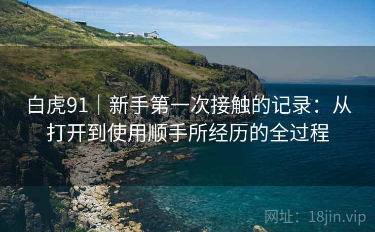 白虎91｜新手第一次接触的记录：从打开到使用顺手所经历的全过程  第2张