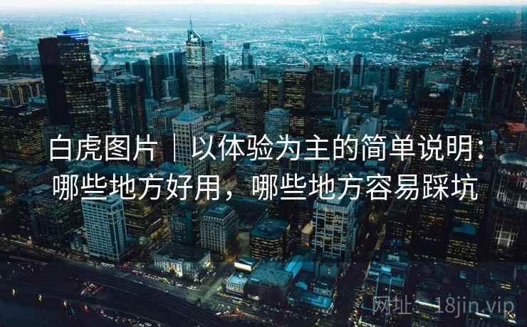 白虎图片｜以体验为主的简单说明：哪些地方好用，哪些地方容易踩坑  第1张