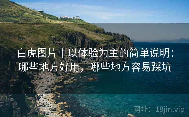 白虎图片｜以体验为主的简单说明：哪些地方好用，哪些地方容易踩坑  第2张
