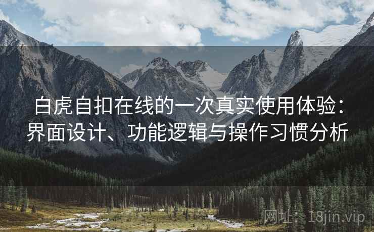 白虎自扣在线的一次真实使用体验：界面设计、功能逻辑与操作习惯分析  第1张