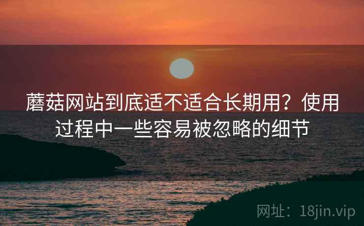 蘑菇网站到底适不适合长期用？使用过程中一些容易被忽略的细节  第2张