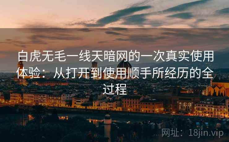 白虎无毛一线天暗网的一次真实使用体验：从打开到使用顺手所经历的全过程  第2张