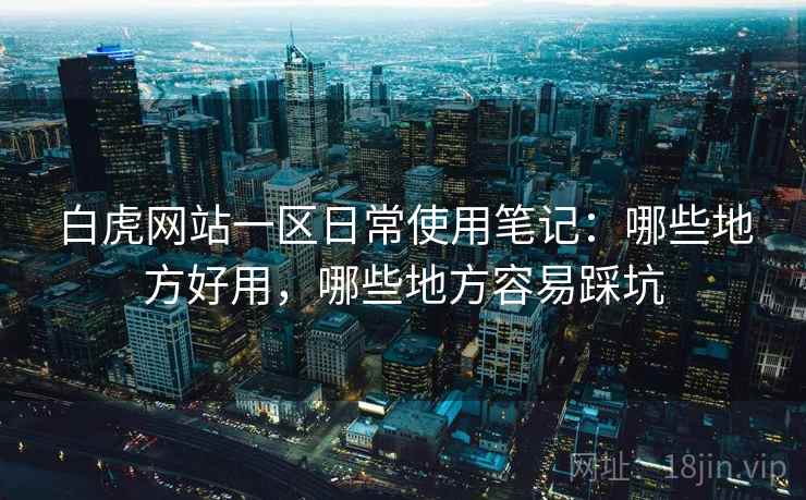 白虎网站一区日常使用笔记：哪些地方好用，哪些地方容易踩坑  第1张
