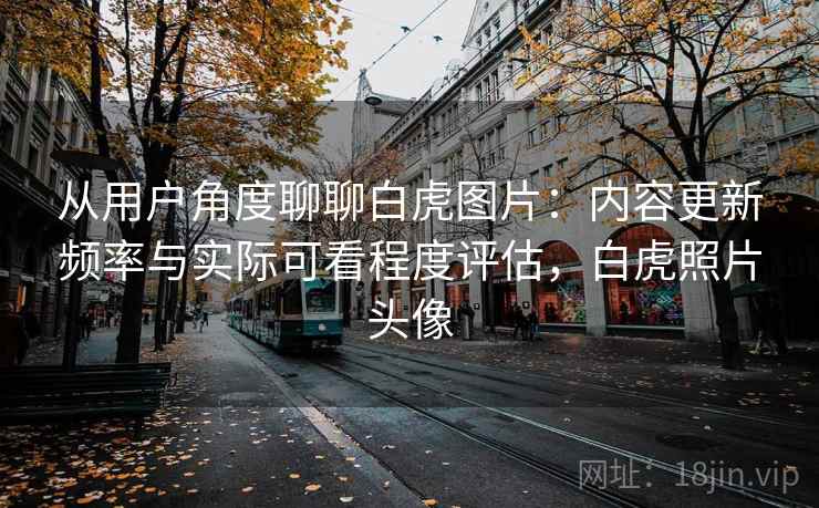 从用户角度聊聊白虎图片：内容更新频率与实际可看程度评估，白虎照片头像  第2张
