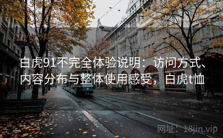 白虎91不完全体验说明：访问方式、内容分布与整体使用感受，白虎t恤  第2张