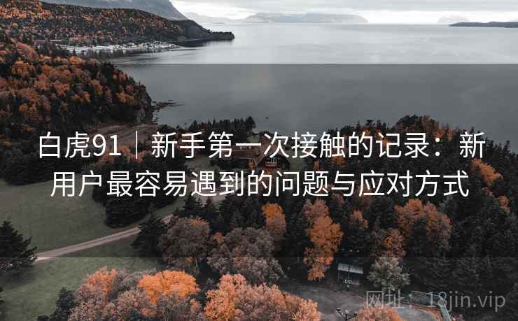 白虎91｜新手第一次接触的记录：新用户最容易遇到的问题与应对方式  第1张