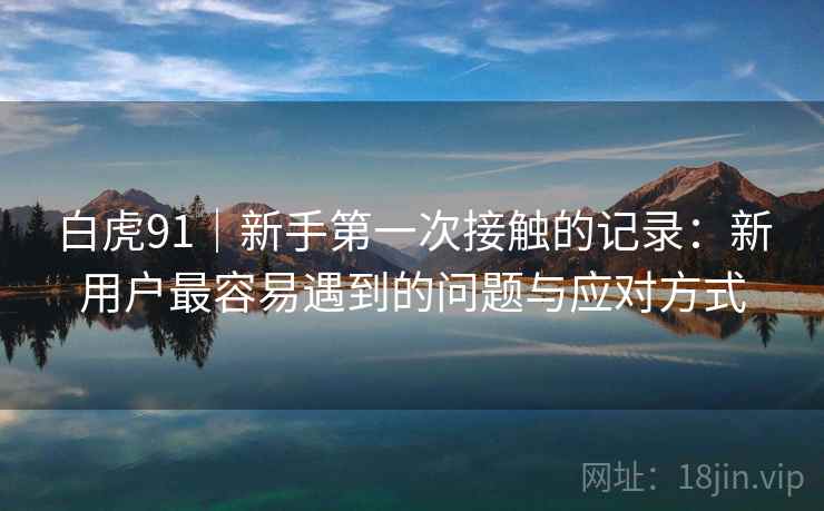 白虎91｜新手第一次接触的记录：新用户最容易遇到的问题与应对方式  第2张