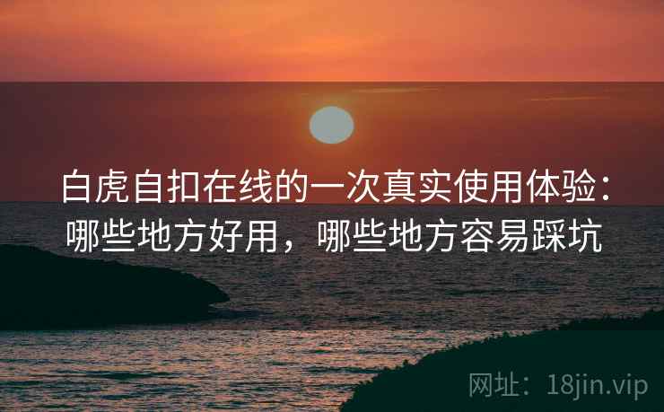 白虎自扣在线的一次真实使用体验：哪些地方好用，哪些地方容易踩坑  第2张