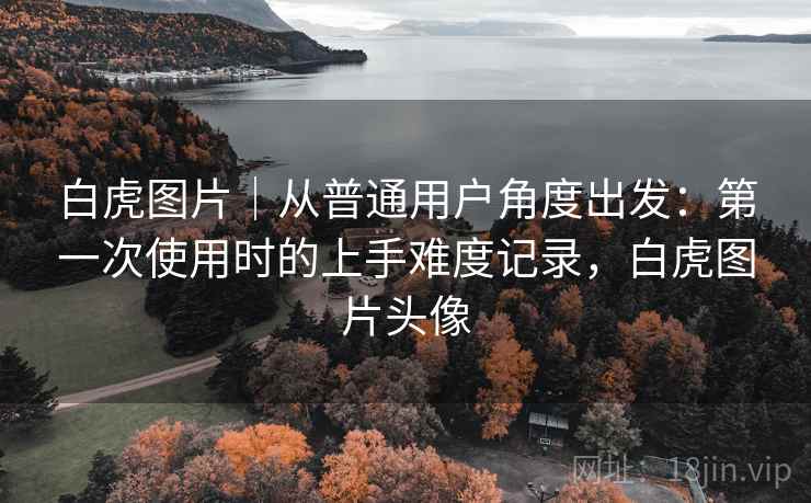 白虎图片｜从普通用户角度出发：第一次使用时的上手难度记录，白虎图片头像  第2张