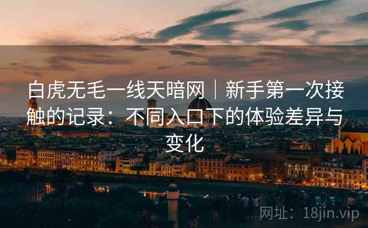 白虎无毛一线天暗网｜新手第一次接触的记录：不同入口下的体验差异与变化  第2张